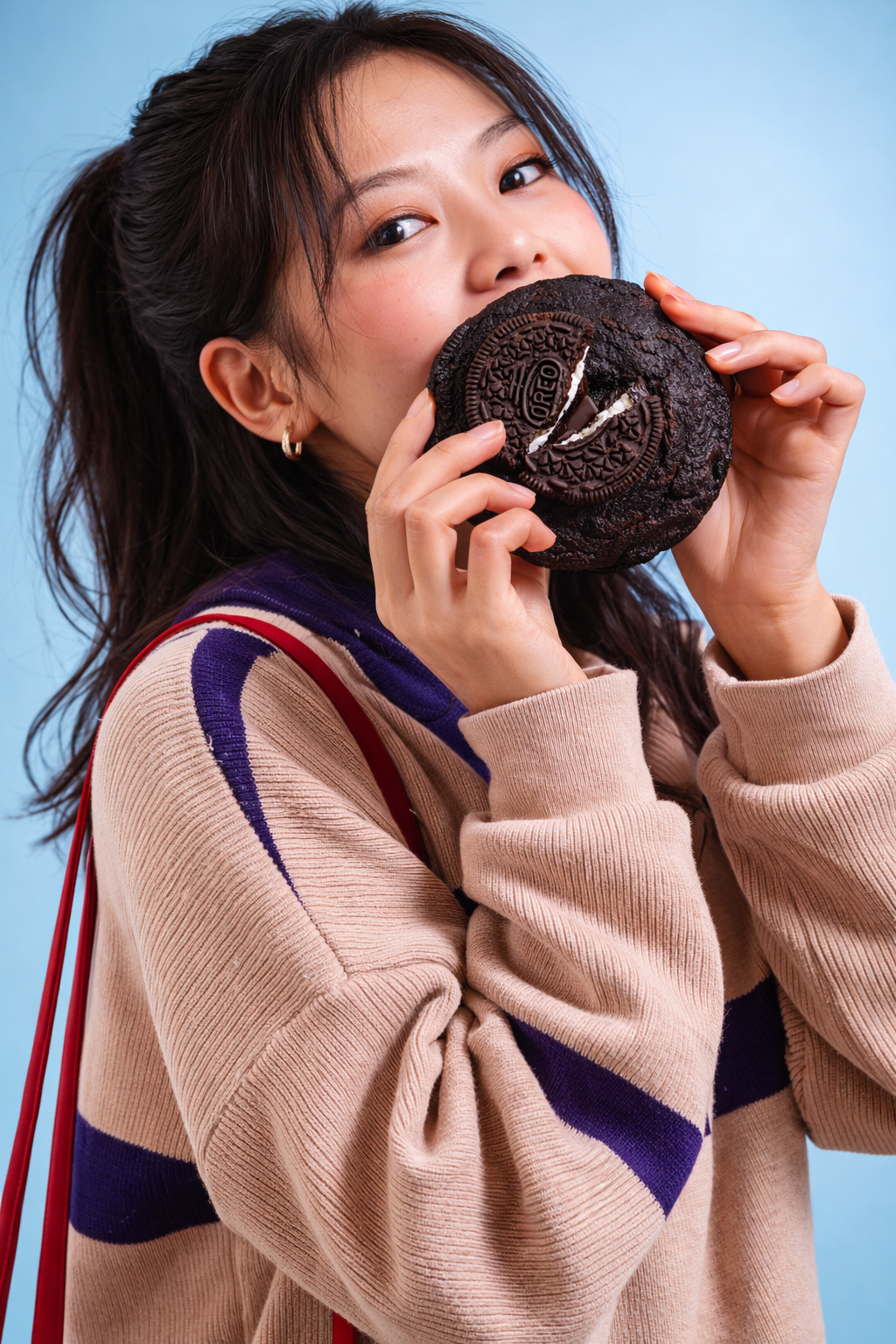 Double Dark Chocolate Cookie